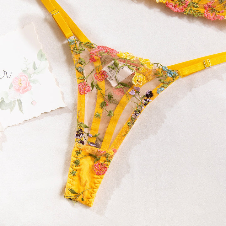 Emmie Transparent Embroidery Bra and Panty Set - Passion HQ