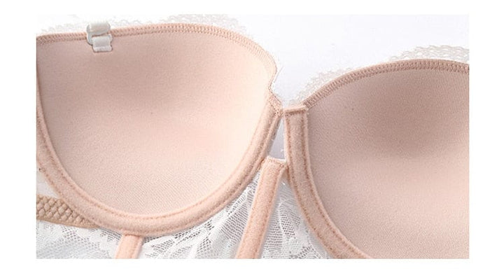 Passion HQ lingerie Azaria Embroidery French Lace Bra and Panty Set